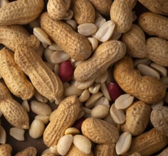 Peanuts-img2