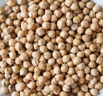 chickpea