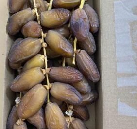 dryfruit1