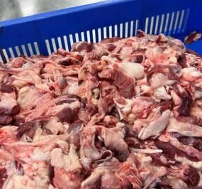 meat3