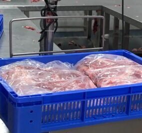 meat4